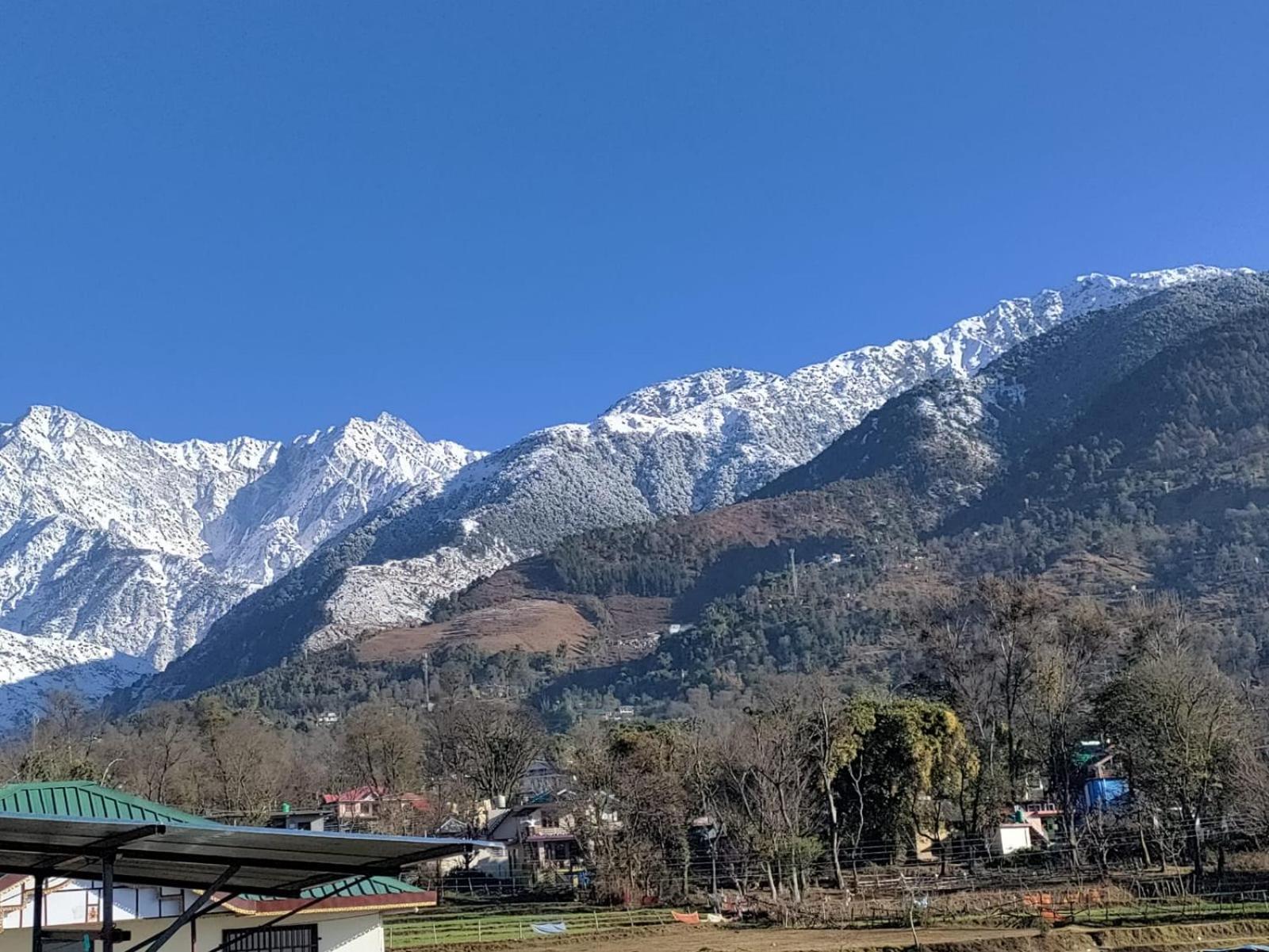 Homestay Palampur View Εξωτερικό φωτογραφία