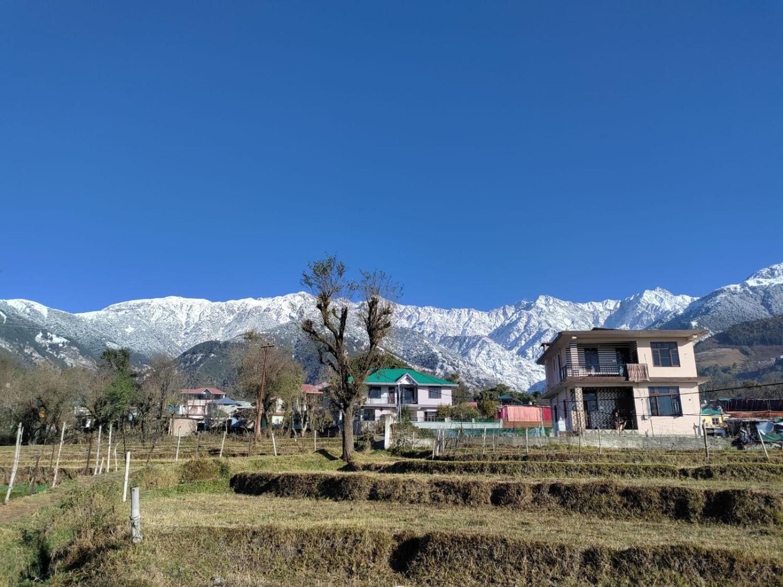 Homestay Palampur View Εξωτερικό φωτογραφία