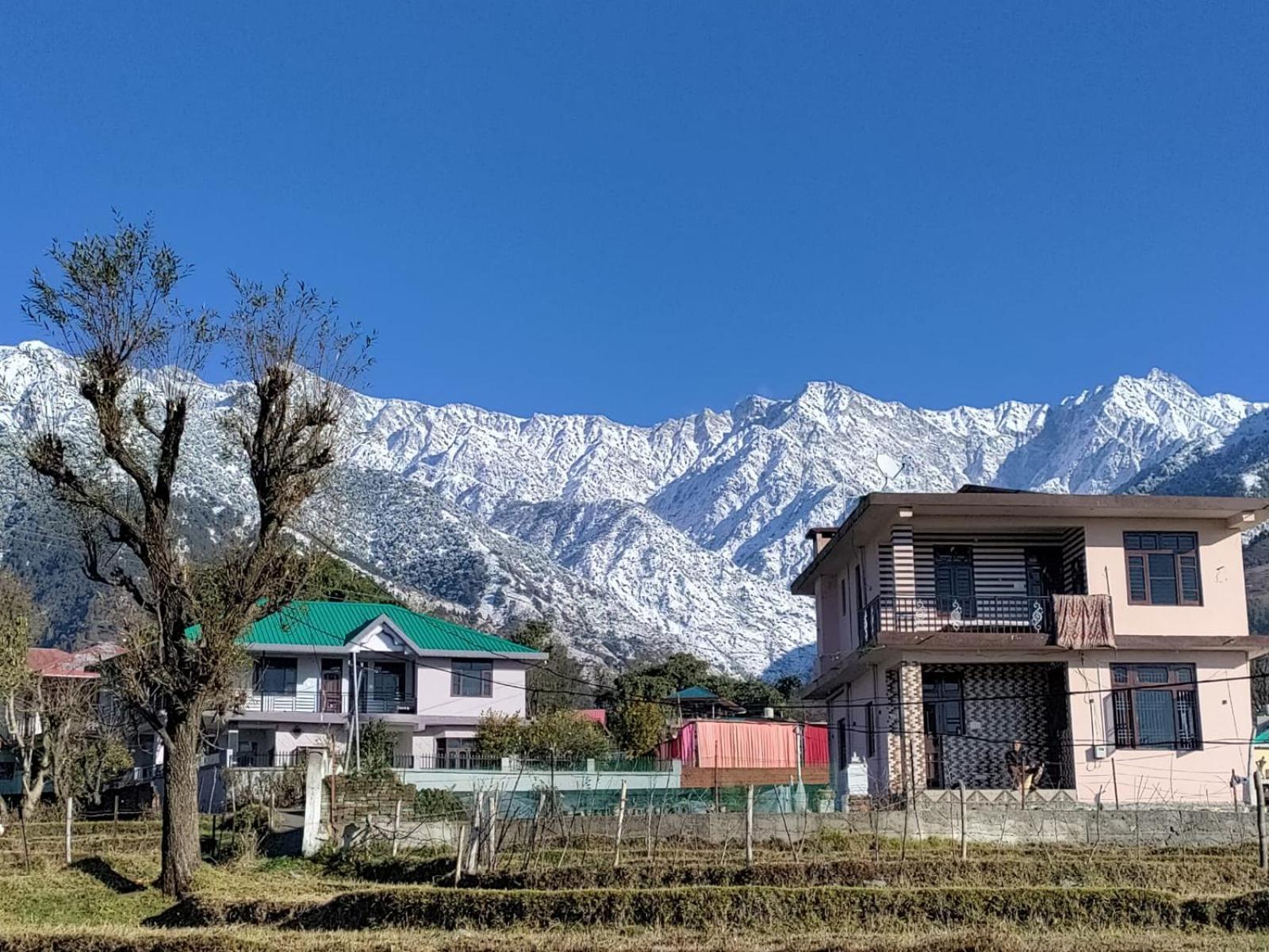 Homestay Palampur View Εξωτερικό φωτογραφία
